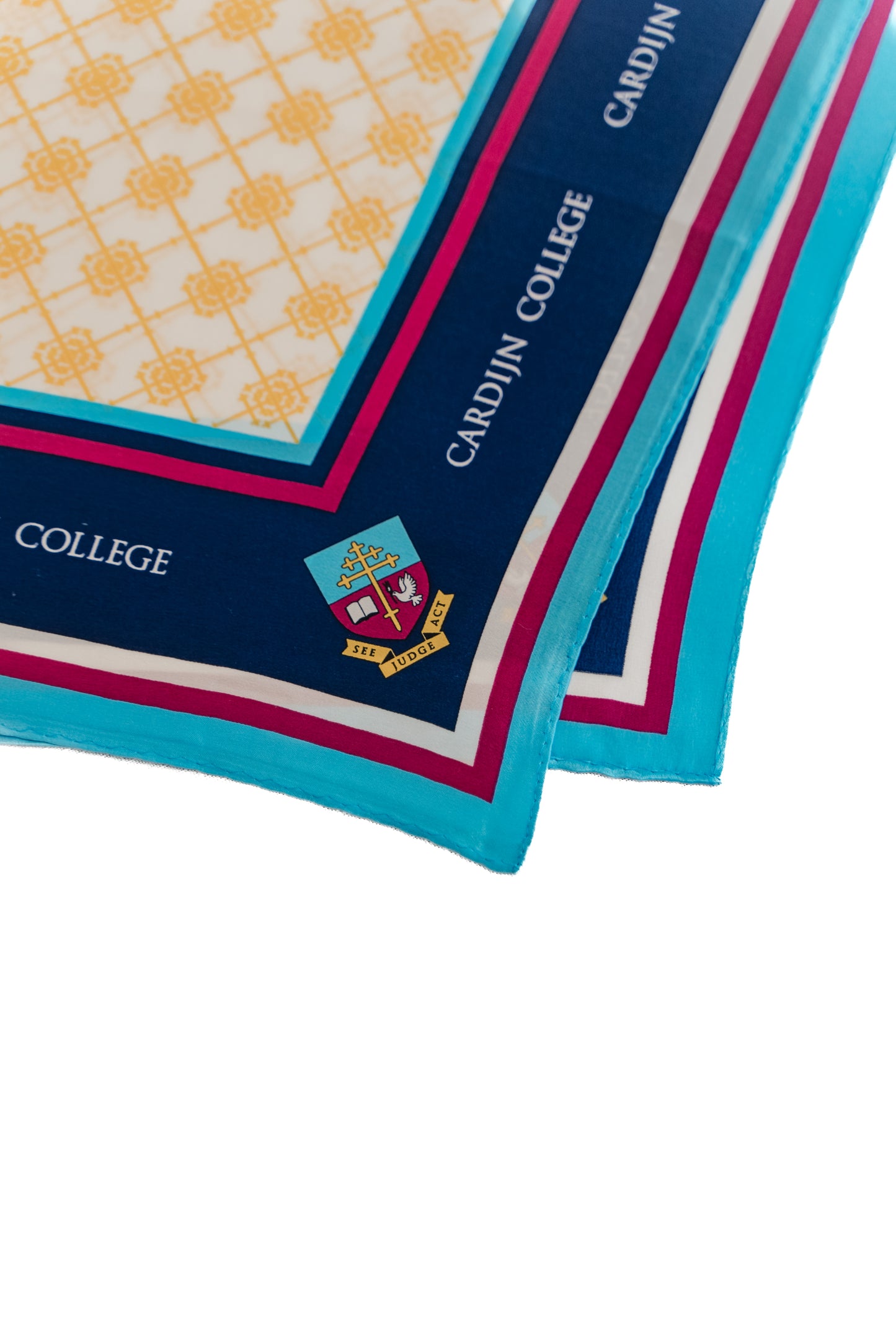 Cardijn College Silk Satin Scarf