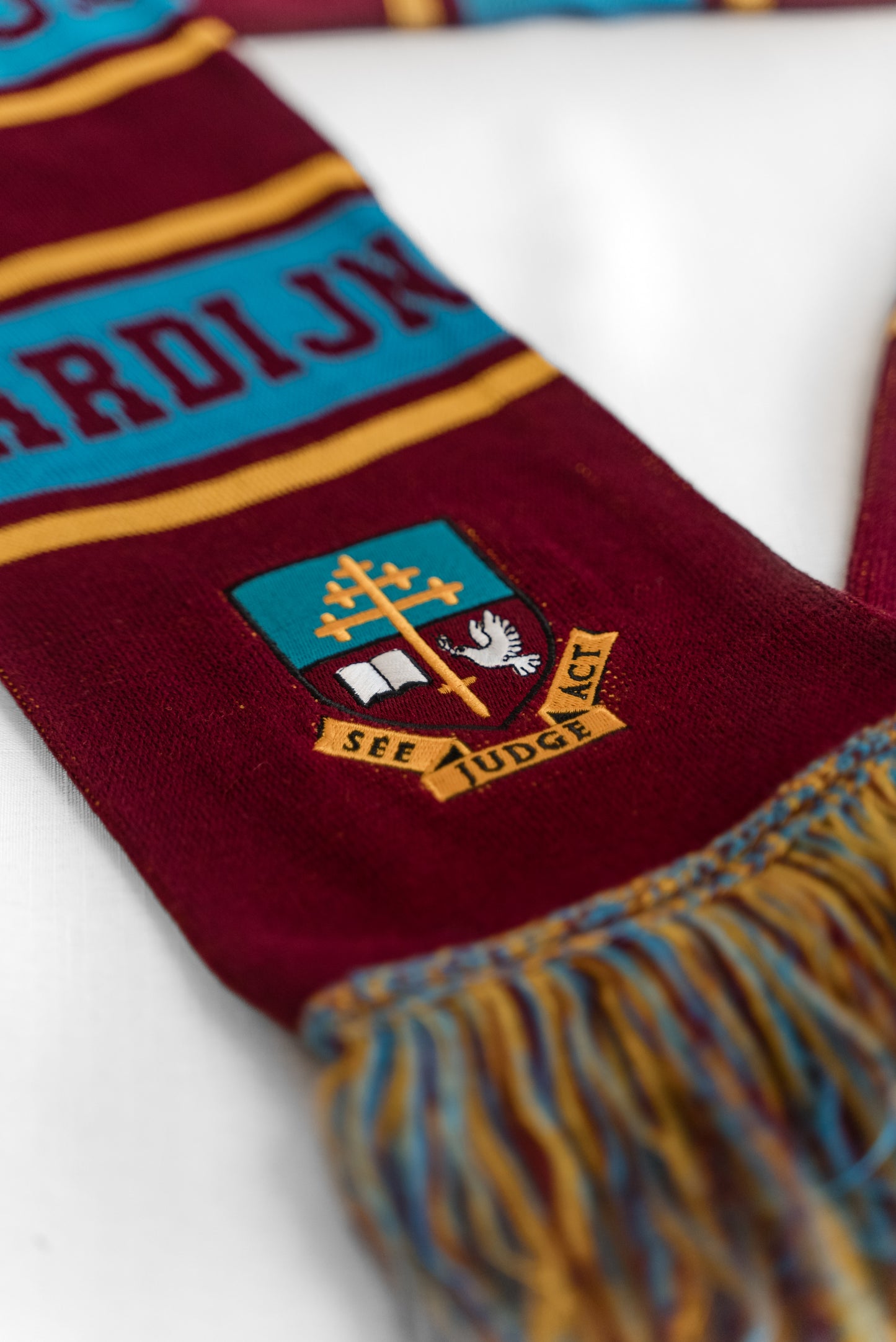 Cardijn College 40 Year Anniversary Knit Scarf